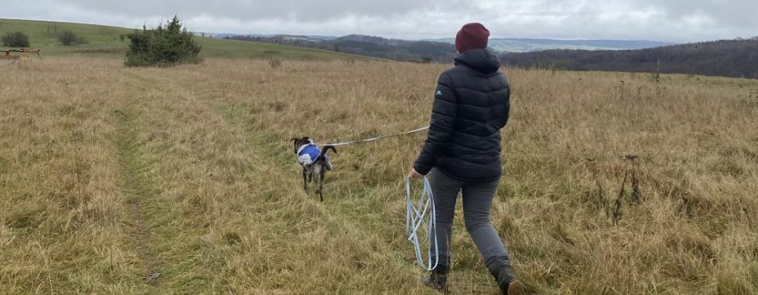 Hundeurlaub in der Eifel