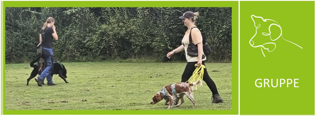 Hundebegegnungen Gruppe