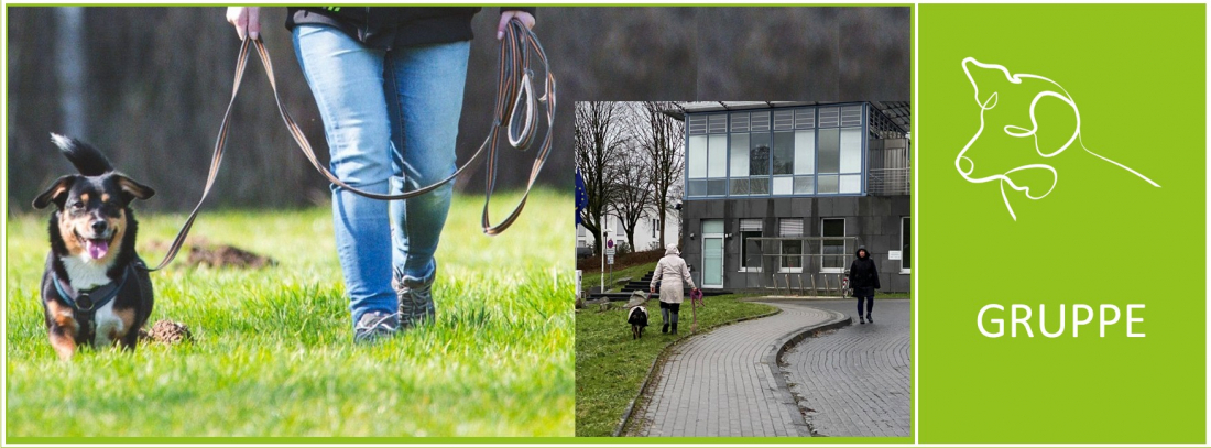 Alltag gelassen meistern – Belebte Umwelt