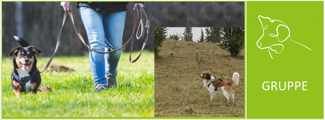 Alltag gelassen meistern – Belebter Wald