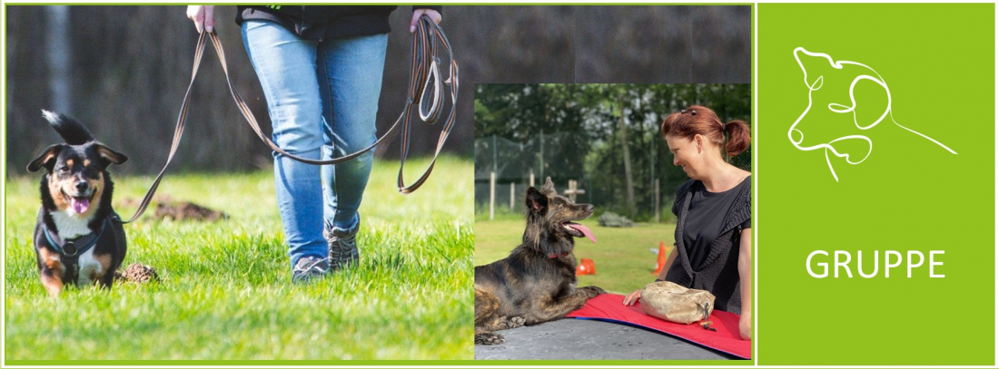 Alltag gelassen meistern – Belebte Beziehung