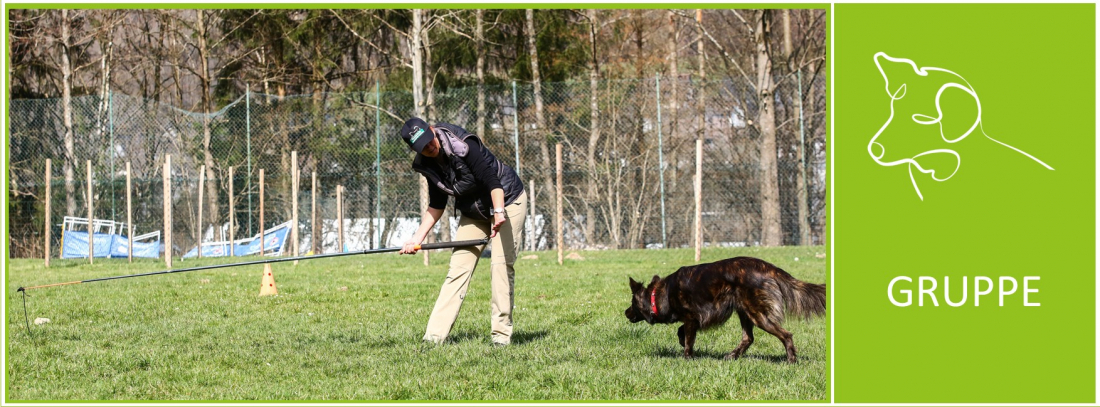 Ersatzjagdliche Beschäftigung