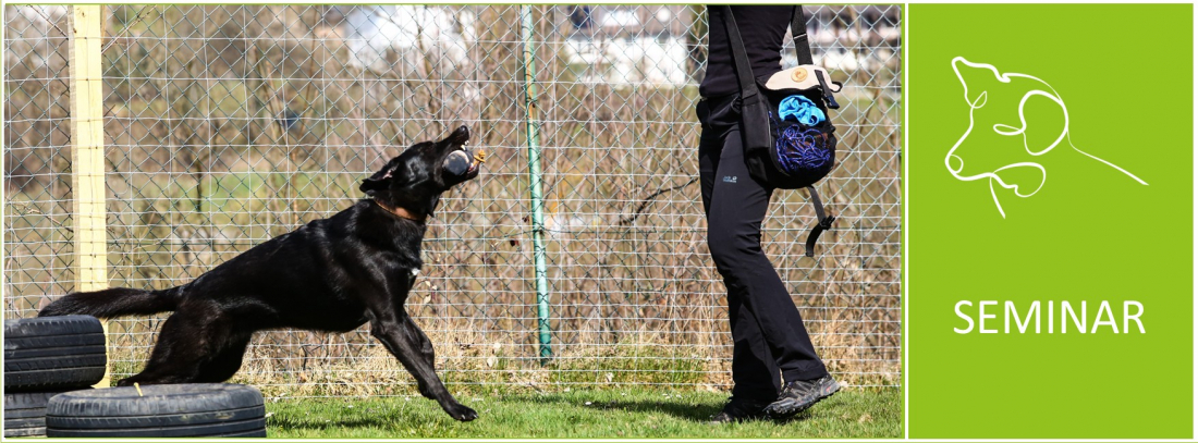 Seminar - Talente erkennen