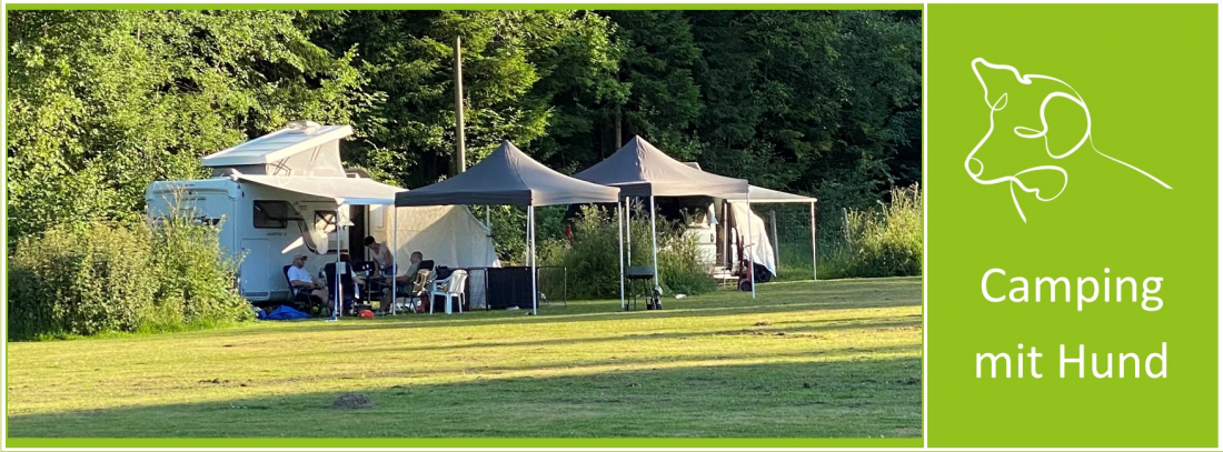 Camping mit Hund