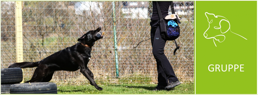 Jagdverhalten alltagstauglich gestalten