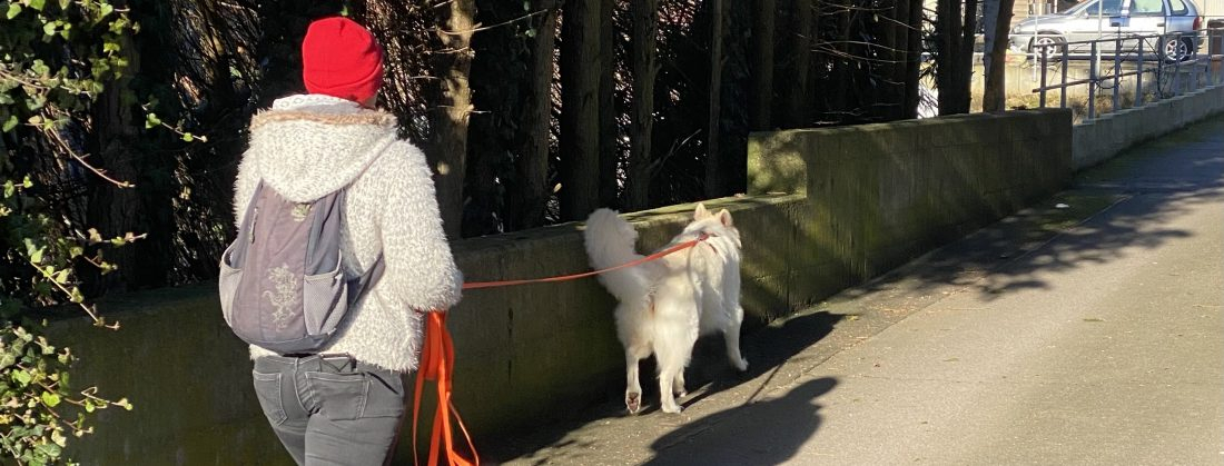 EVENT Mantrailing: Auto-Trail